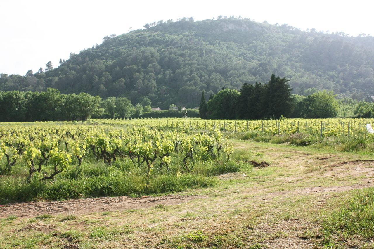 Domaine Regis Freres Bed and Breakfast Vidauban Exteriör bild